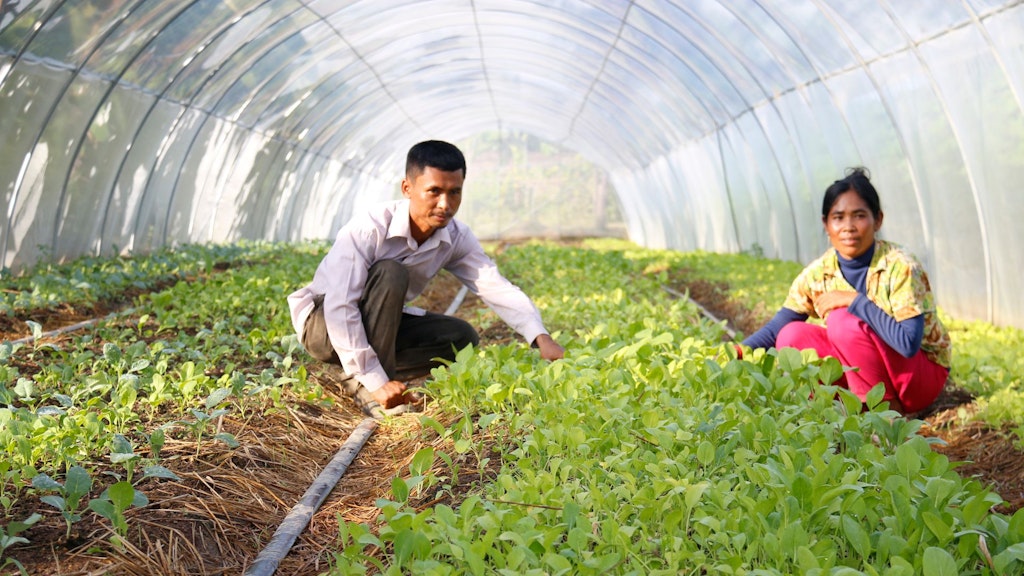 Horticulture farmer in Preah Vihear province, Cambodia